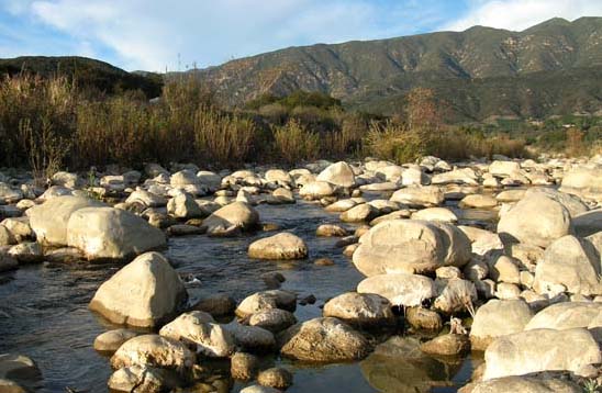 ventura river bottom